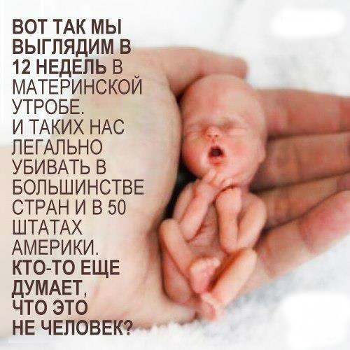 аборт1